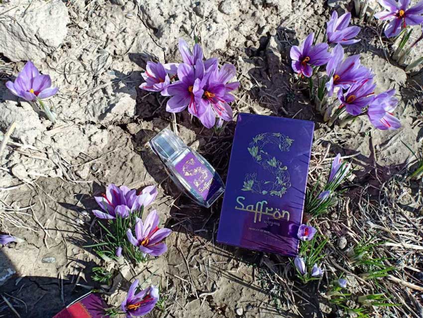 [Mua 2 tặng 1] Combo 2gram Saffron Shyam tặng Trà Saffron Tea